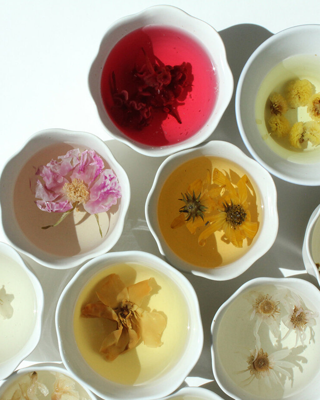 12 Months Flower Tea Set