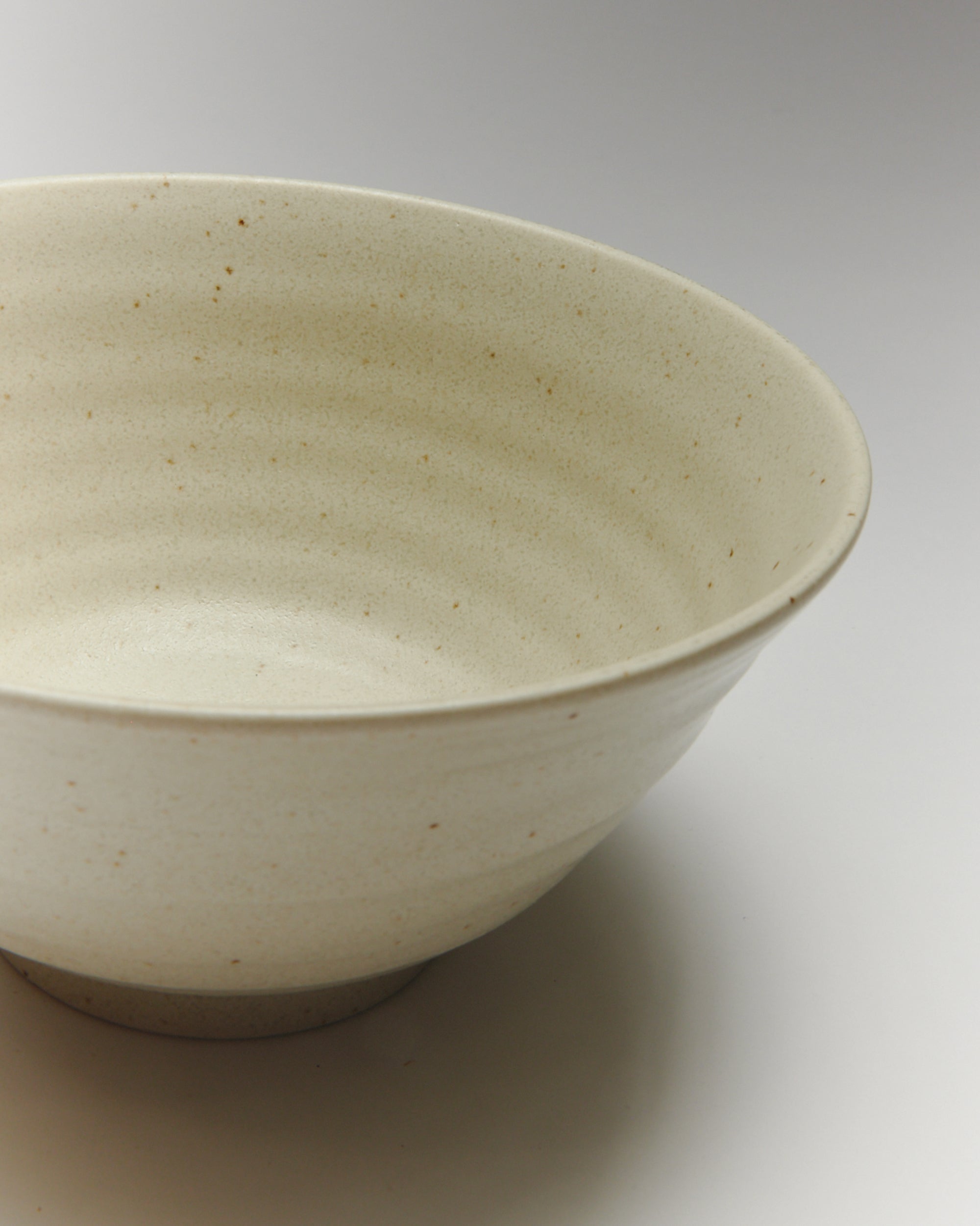Mino Ware Every Day Noodle Bowl