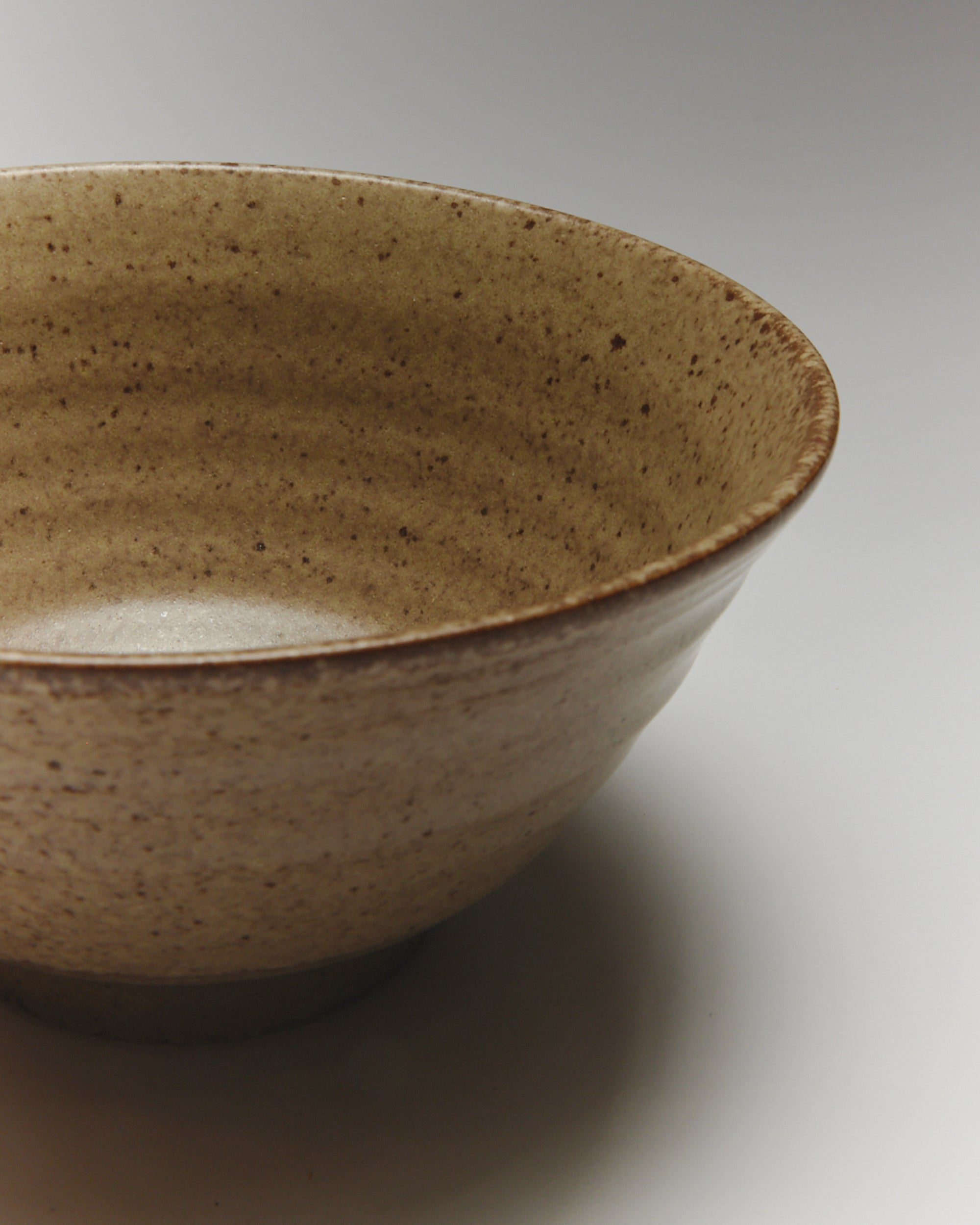 Mino Ware Every Day Noodle Bowl