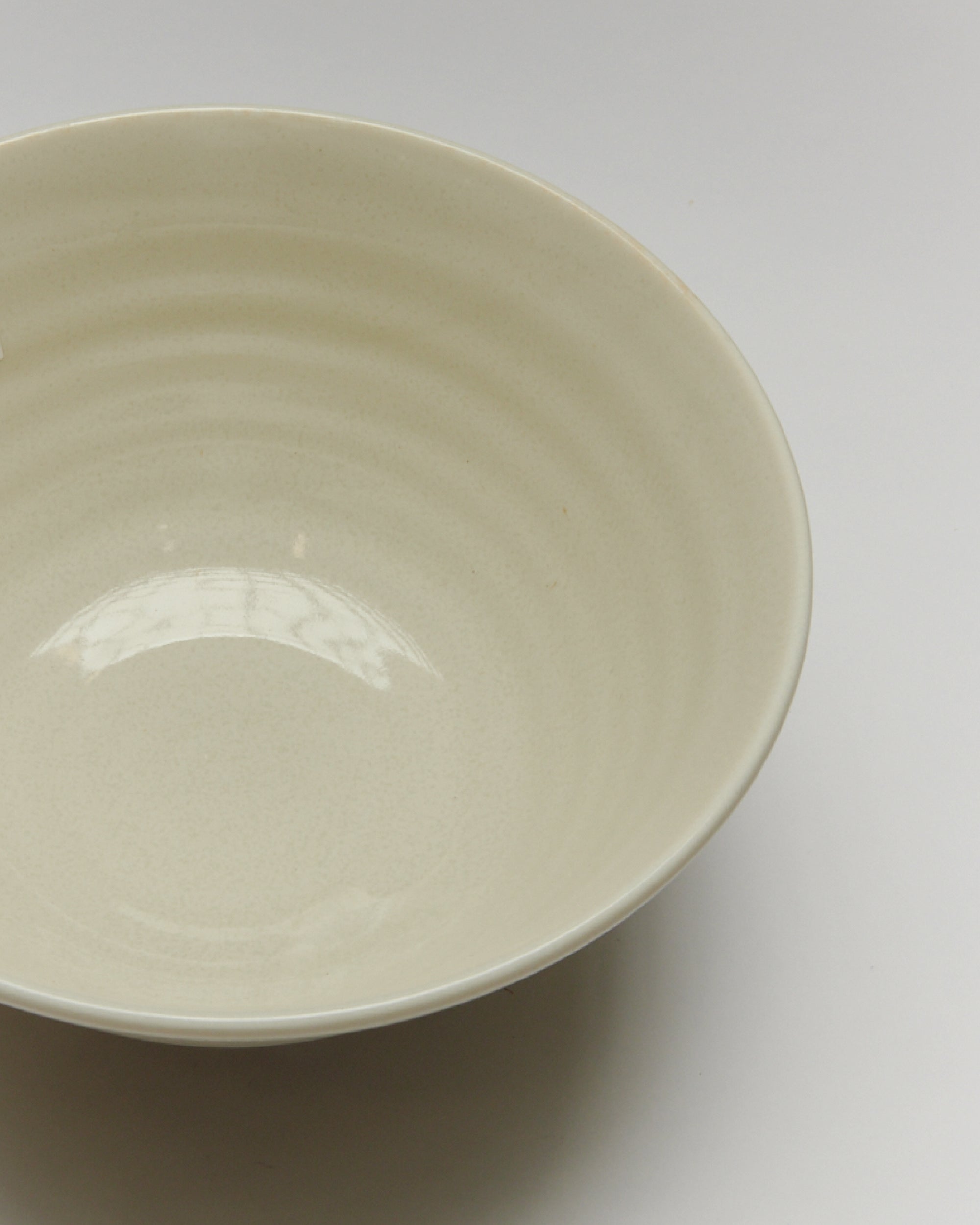 Mino Ware Every Day Noodle Bowl